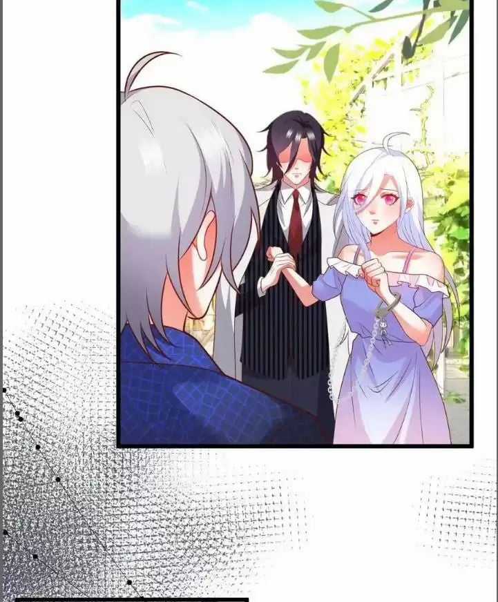 Hắc Đạo Đáng Yêu Chapter 211 trang 4