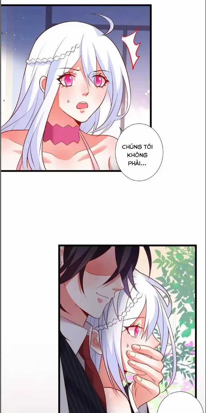 Hắc Đạo Đáng Yêu Chapter 212 trang 12