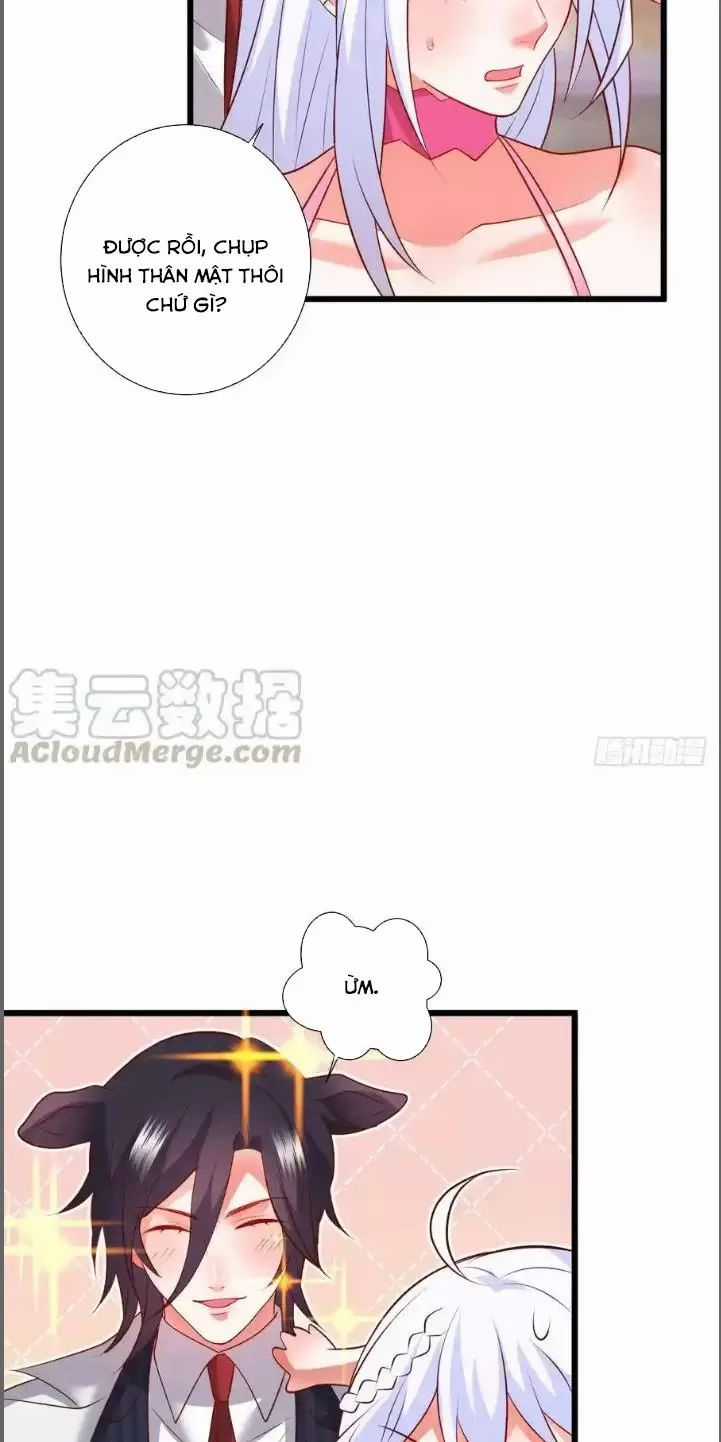 Hắc Đạo Đáng Yêu Chapter 212 trang 15