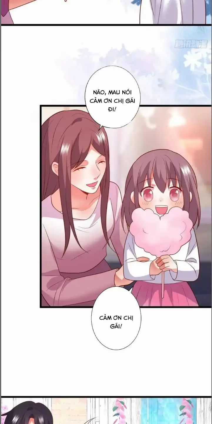 Hắc Đạo Đáng Yêu Chapter 212 trang 24