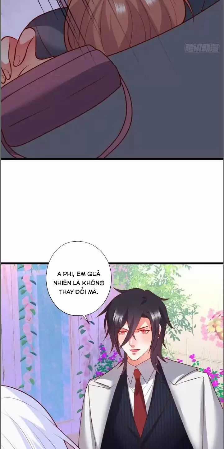 Hắc Đạo Đáng Yêu Chapter 212 trang 39