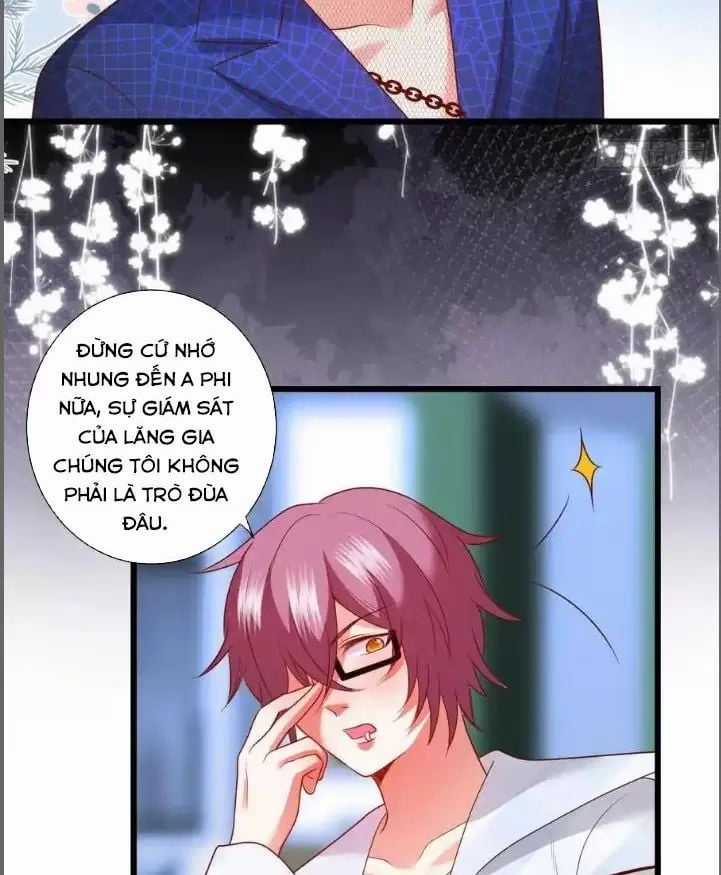 Hắc Đạo Đáng Yêu Chapter 213 trang 11