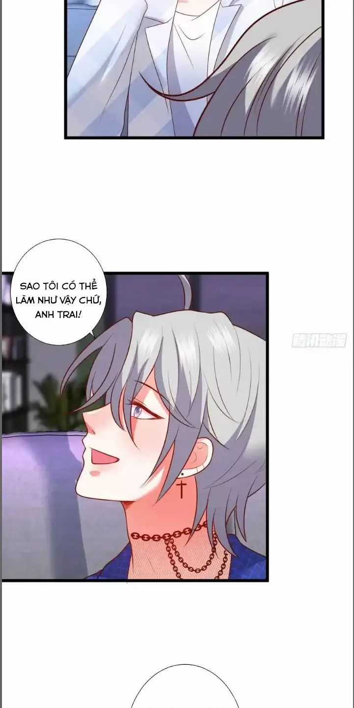 Hắc Đạo Đáng Yêu Chapter 213 trang 12