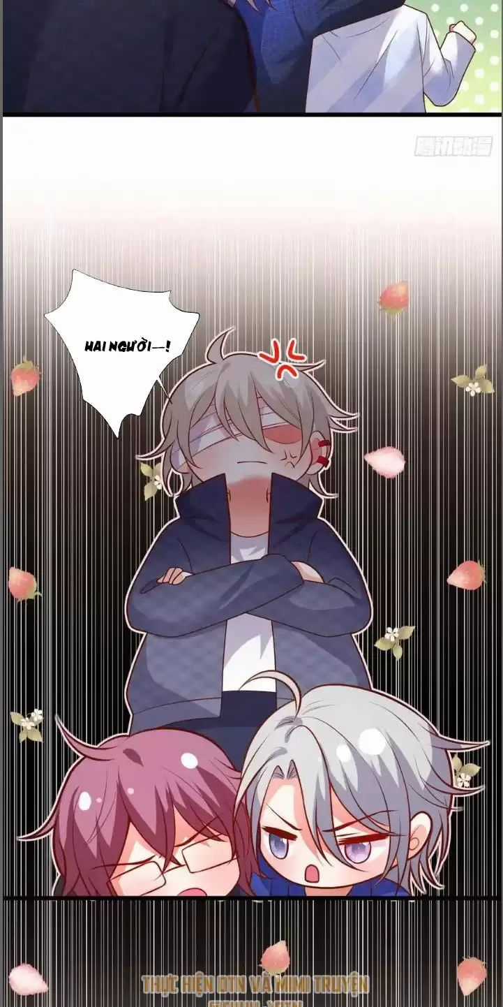 Hắc Đạo Đáng Yêu Chapter 213 trang 15