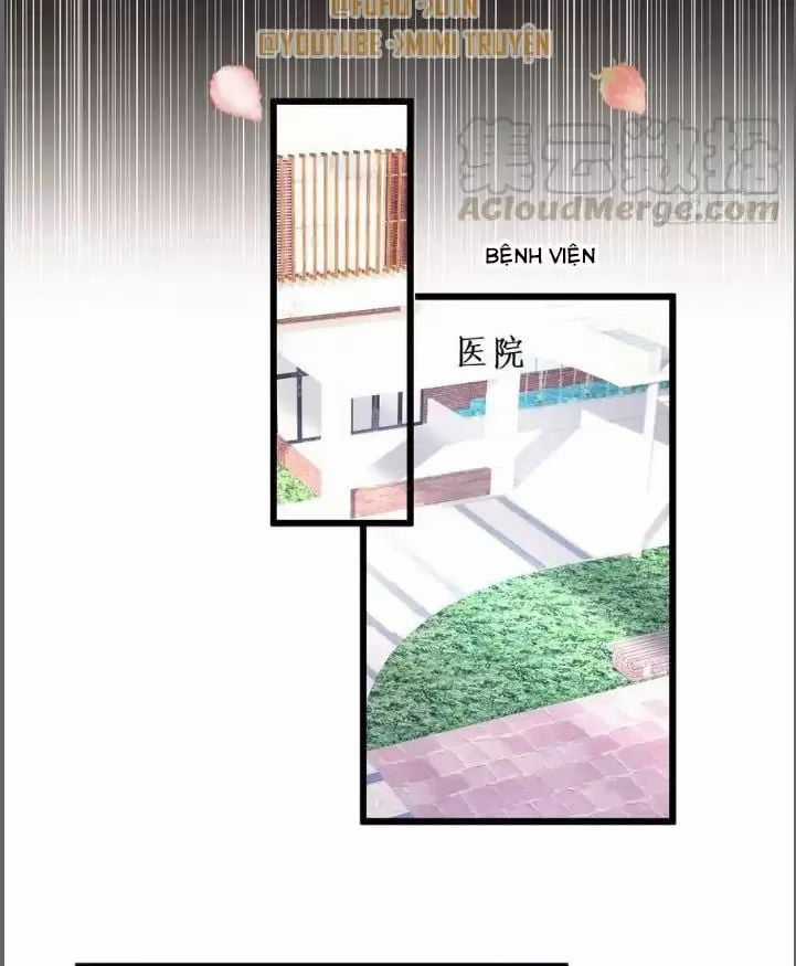 Hắc Đạo Đáng Yêu Chapter 213 trang 16