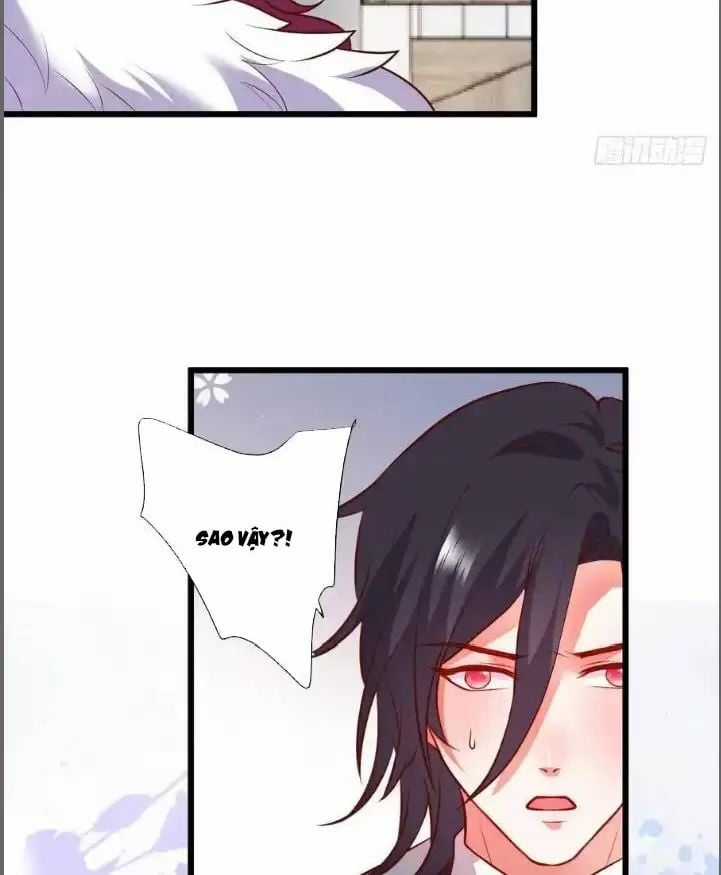 Hắc Đạo Đáng Yêu Chapter 213 trang 20