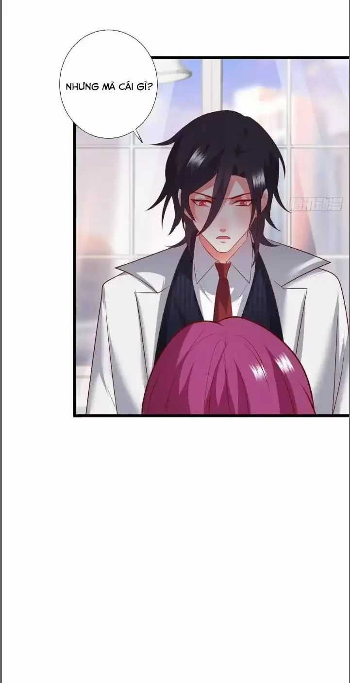 Hắc Đạo Đáng Yêu Chapter 213 trang 29