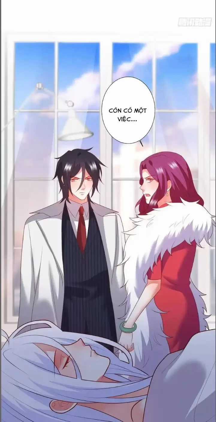 Hắc Đạo Đáng Yêu Chapter 213 trang 30