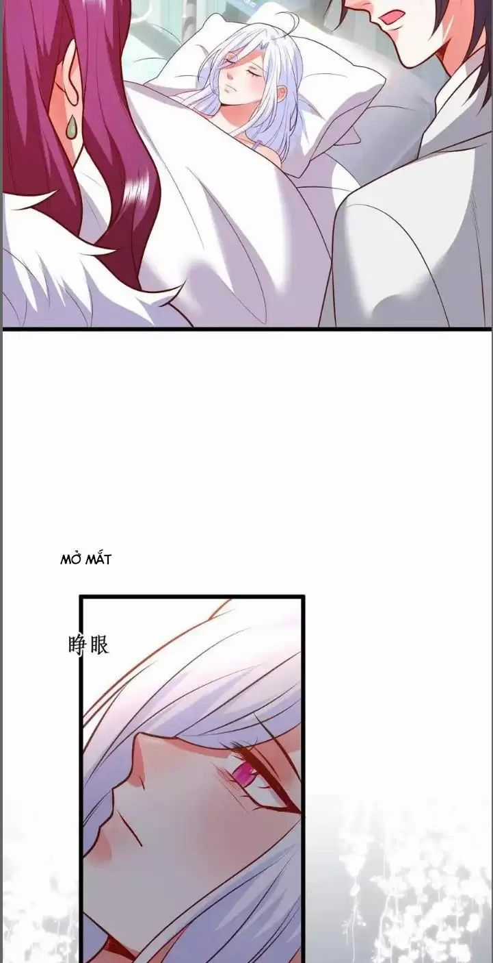 Hắc Đạo Đáng Yêu Chapter 213 trang 33