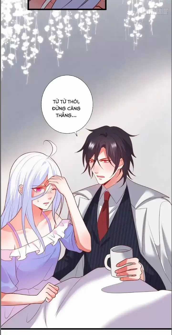 Hắc Đạo Đáng Yêu Chapter 213 trang 34