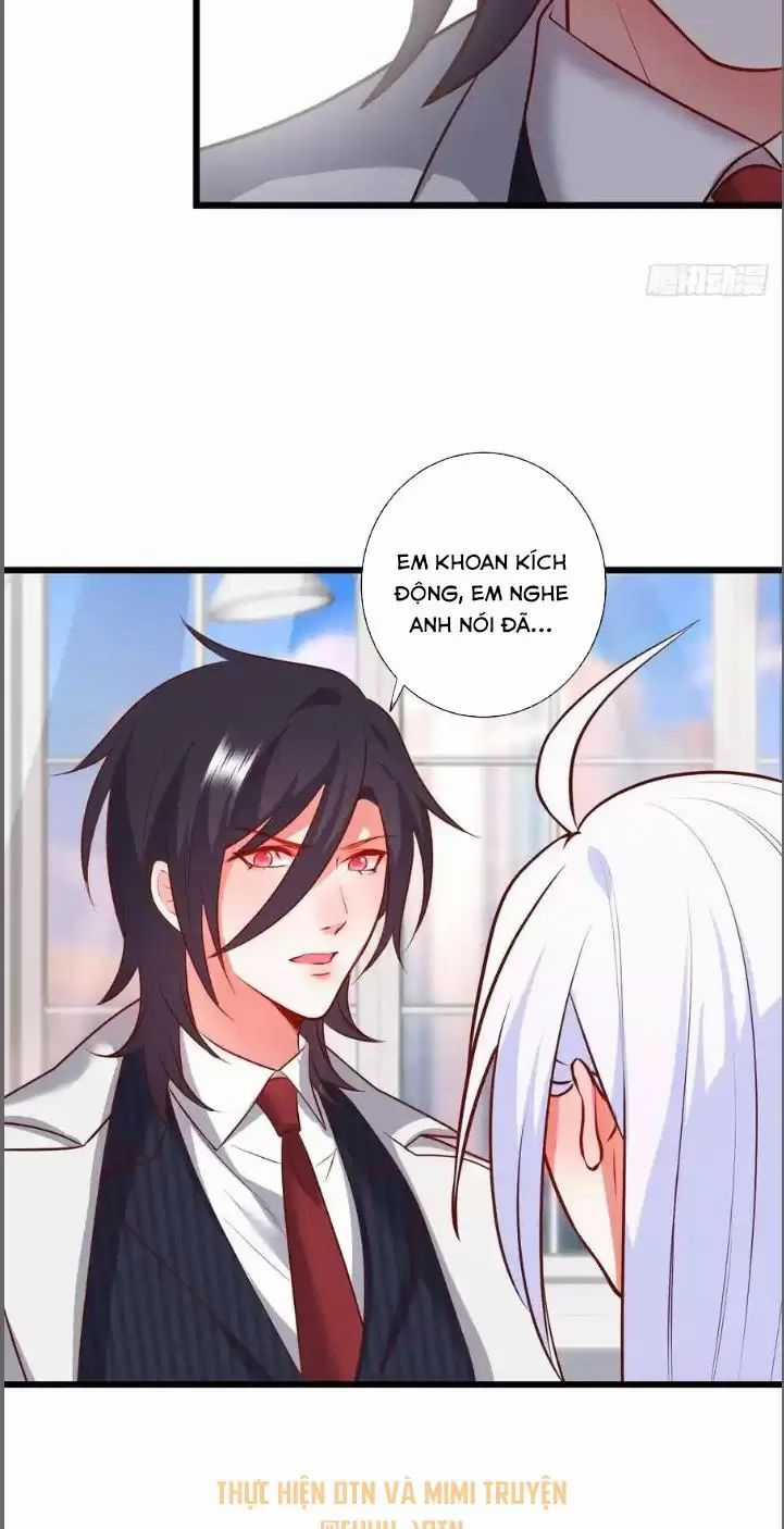 Hắc Đạo Đáng Yêu Chapter 213 trang 37