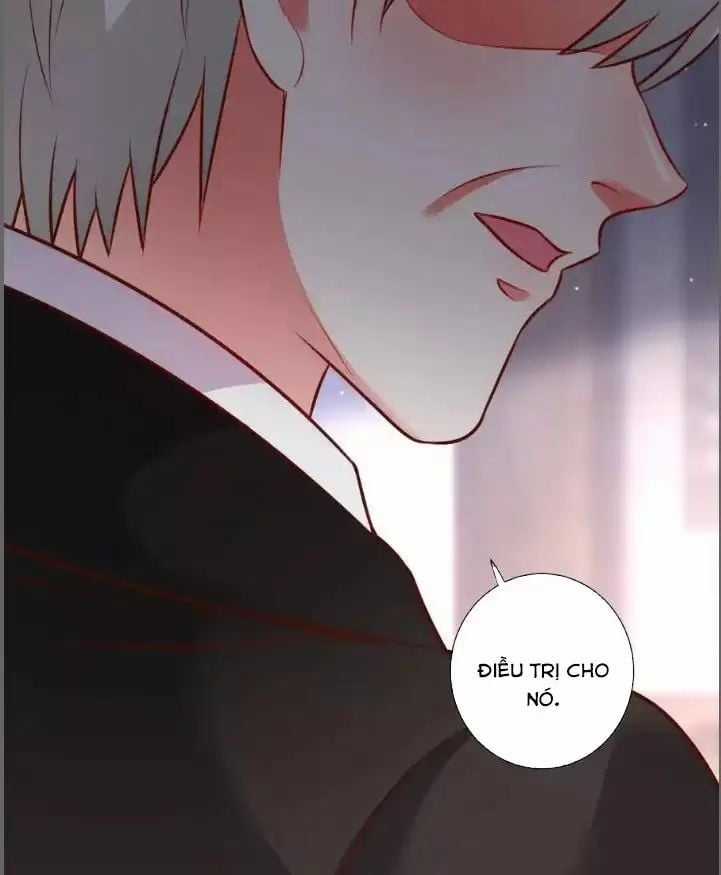 Hắc Đạo Đáng Yêu Chapter 213 trang 4