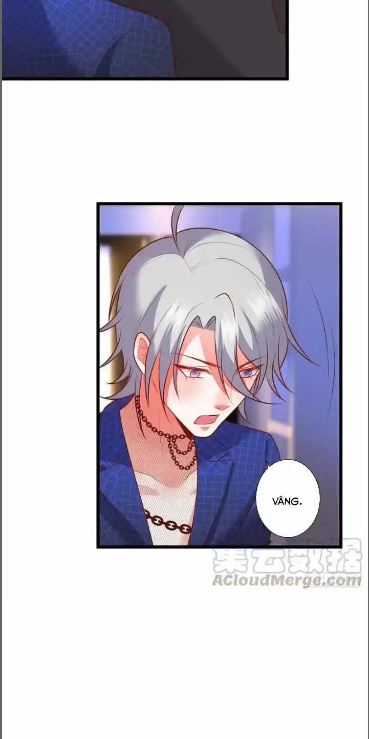 Hắc Đạo Đáng Yêu Chapter 213 trang 6