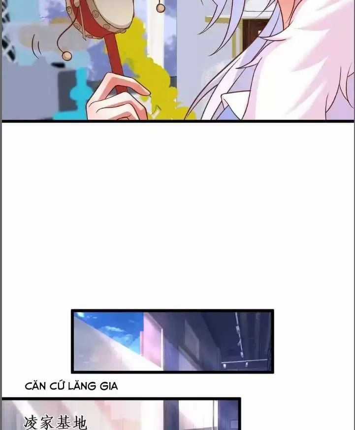 Hắc Đạo Đáng Yêu Chapter 214 trang 11