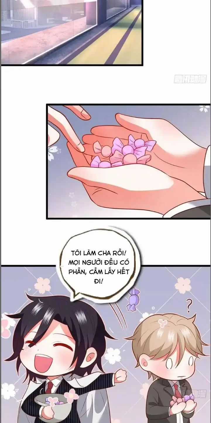 Hắc Đạo Đáng Yêu Chapter 214 trang 12