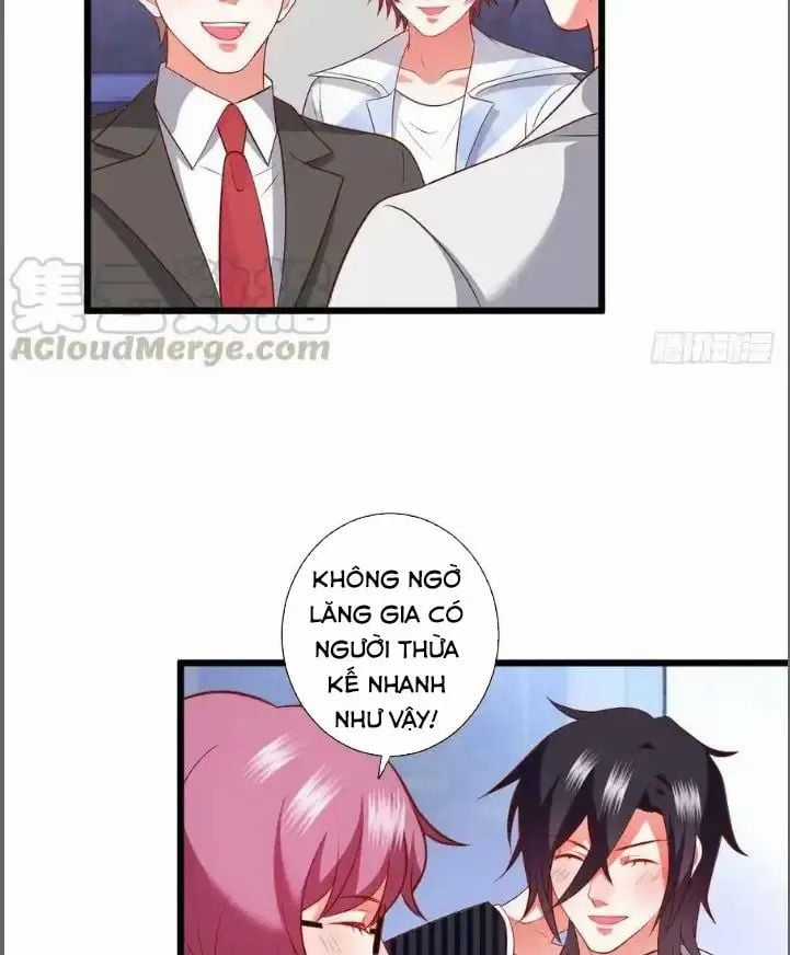 Hắc Đạo Đáng Yêu Chapter 214 trang 14