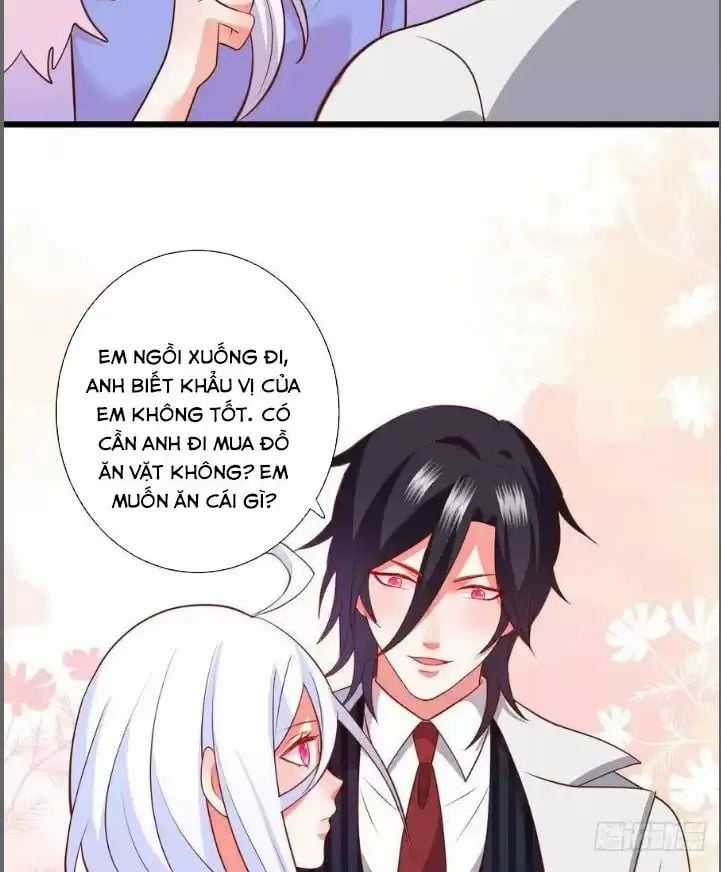 Hắc Đạo Đáng Yêu Chapter 214 trang 22