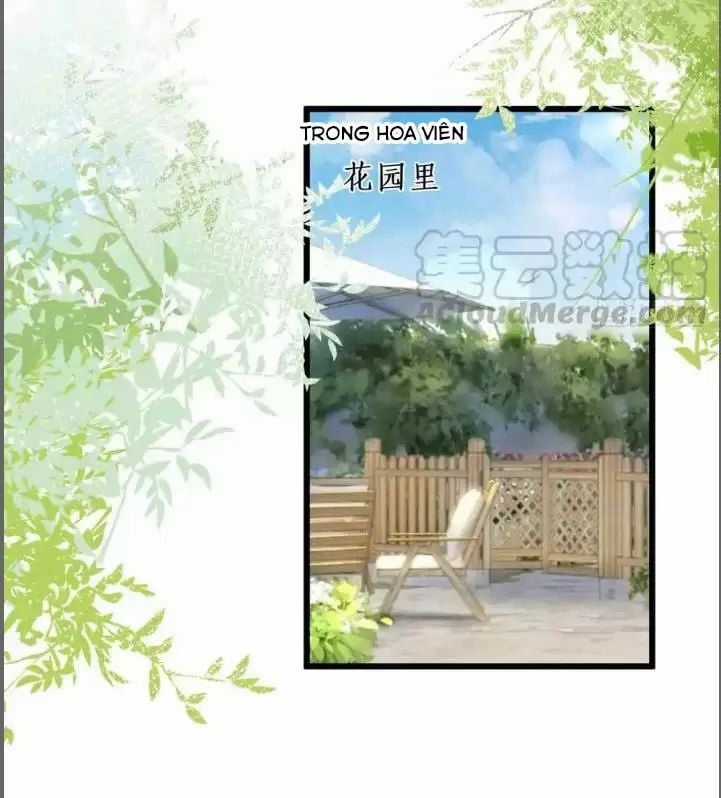 Hắc Đạo Đáng Yêu Chapter 214 trang 26