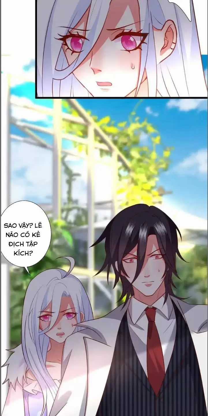 Hắc Đạo Đáng Yêu Chapter 214 trang 30