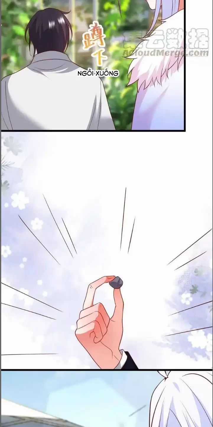 Hắc Đạo Đáng Yêu Chapter 214 trang 33