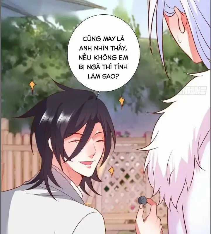 Hắc Đạo Đáng Yêu Chapter 214 trang 34