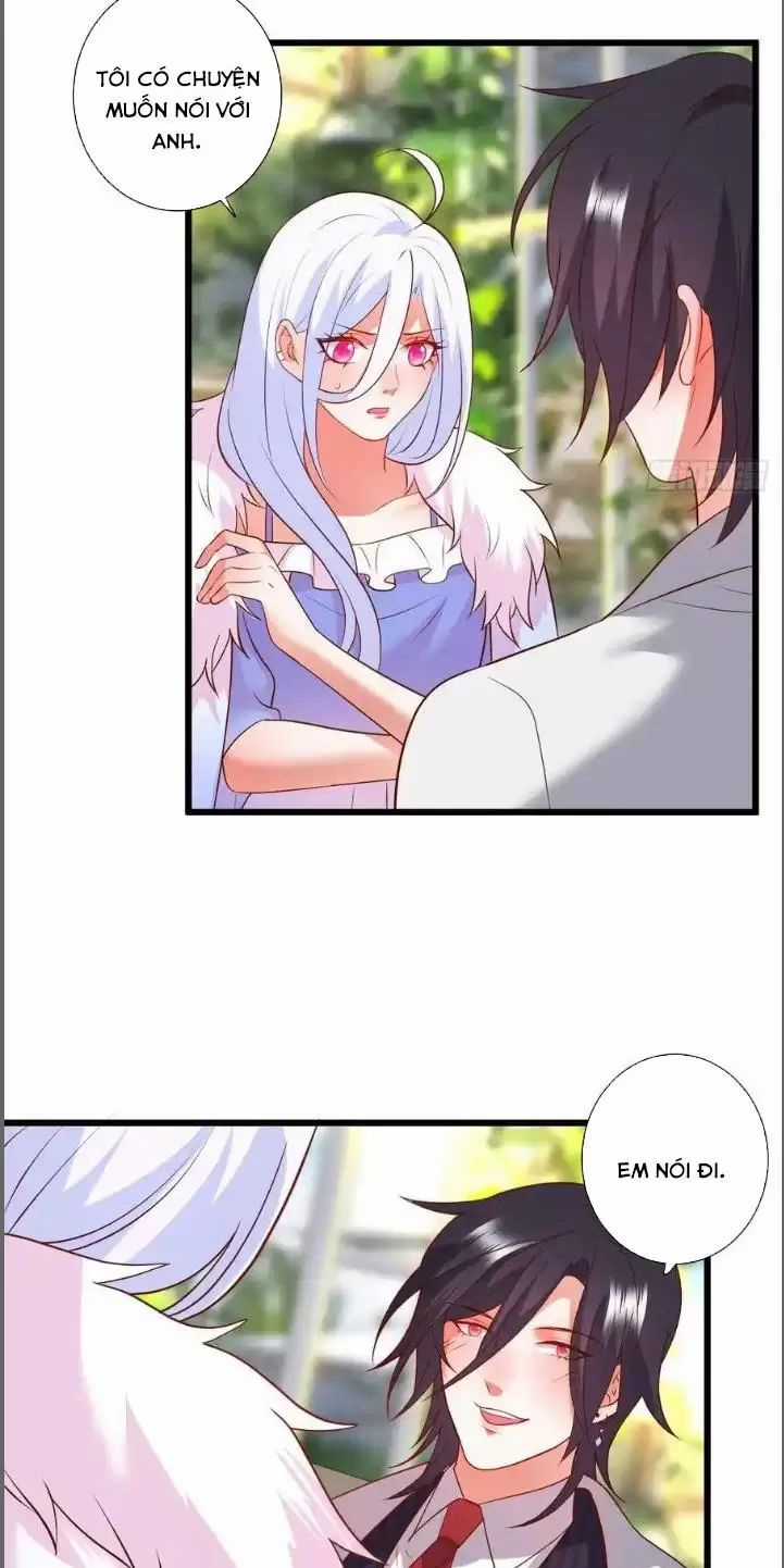 Hắc Đạo Đáng Yêu Chapter 214 trang 42