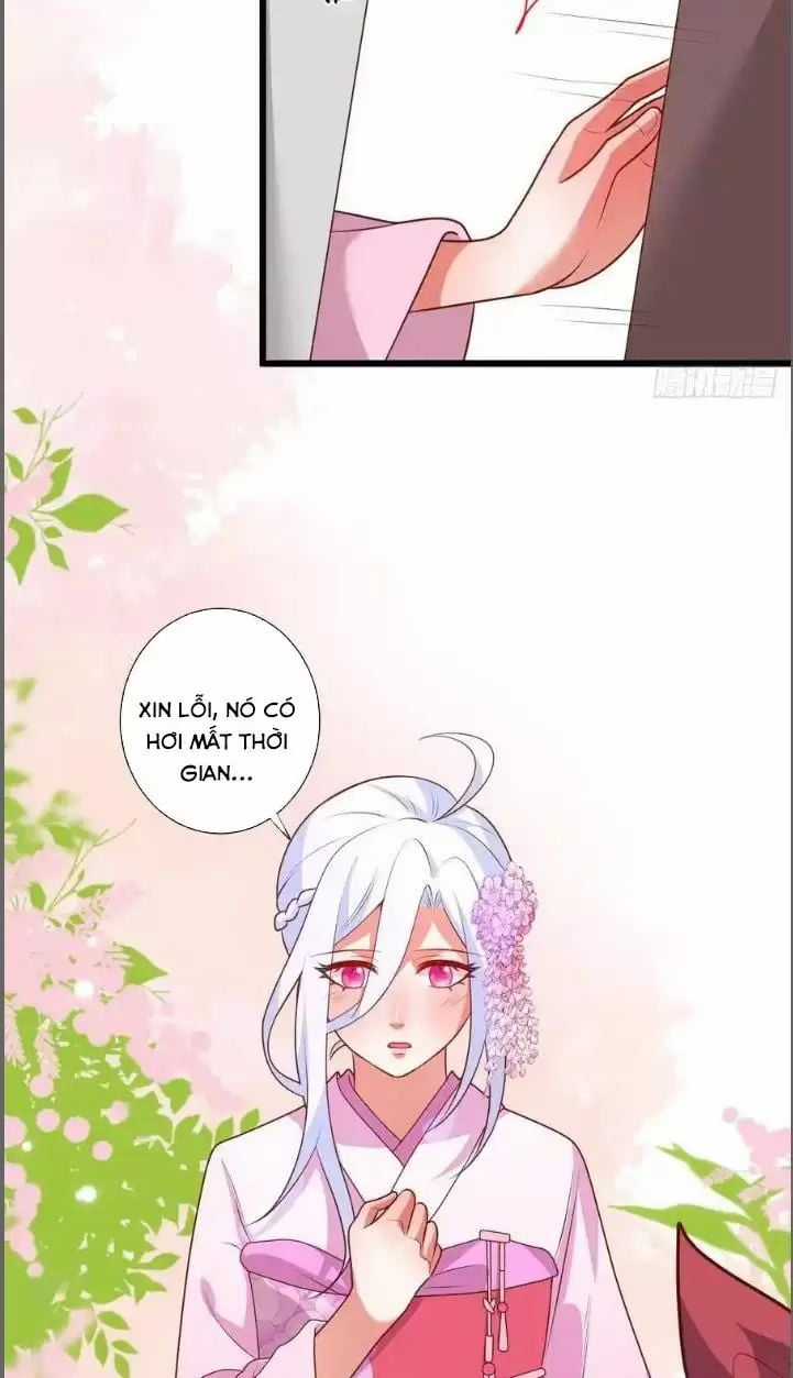 Hắc Đạo Đáng Yêu Chapter 215 trang 26