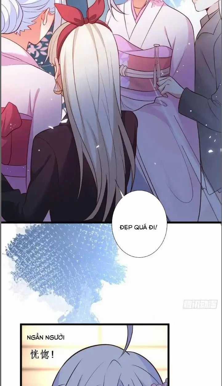 Hắc Đạo Đáng Yêu Chapter 215 trang 31