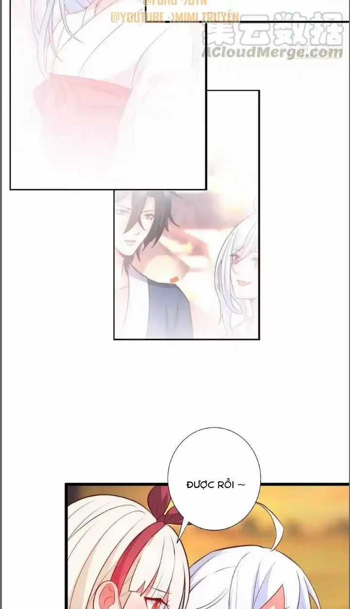 Hắc Đạo Đáng Yêu Chapter 215 trang 33