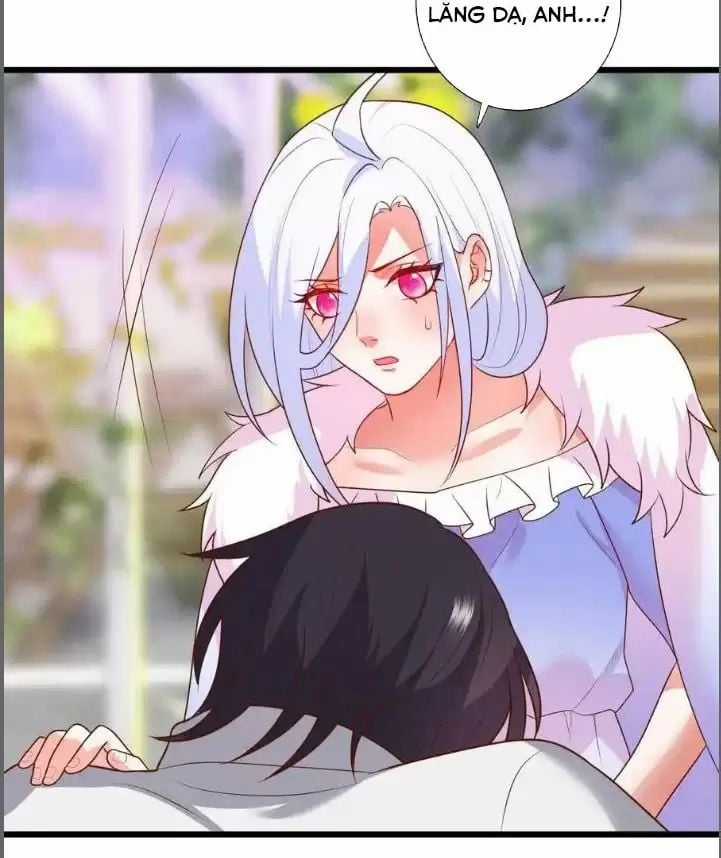 Hắc Đạo Đáng Yêu Chapter 215 trang 4