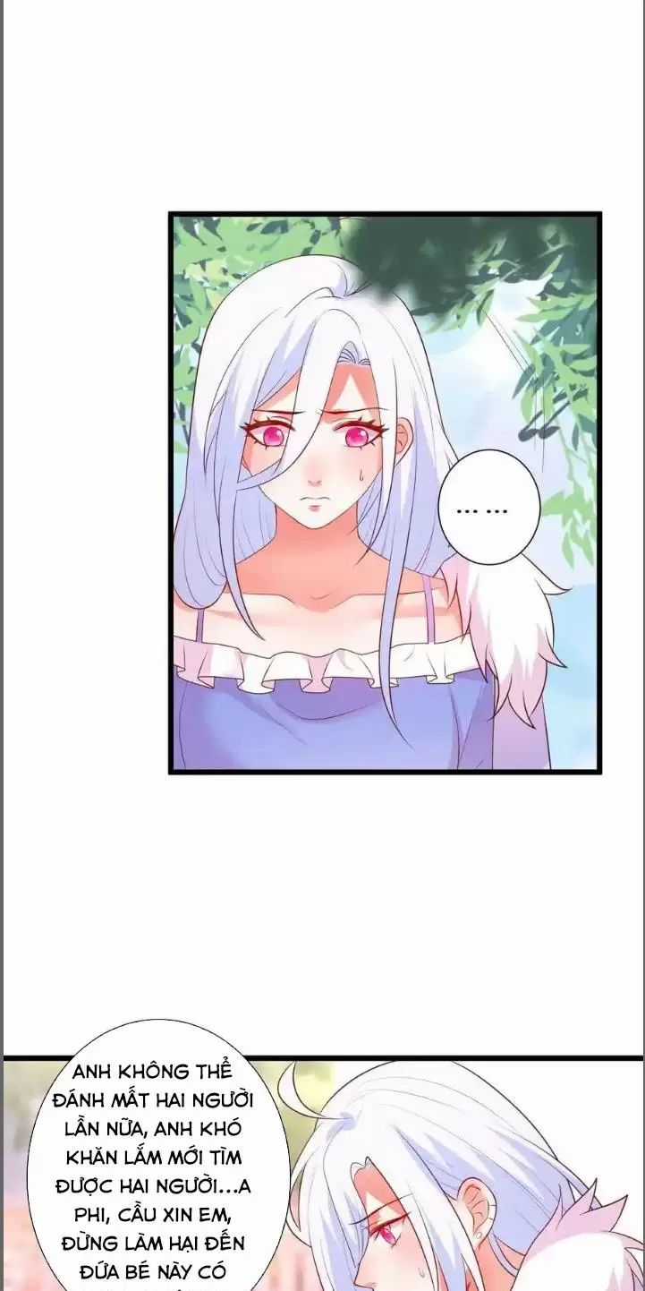 Hắc Đạo Đáng Yêu Chapter 215 trang 6