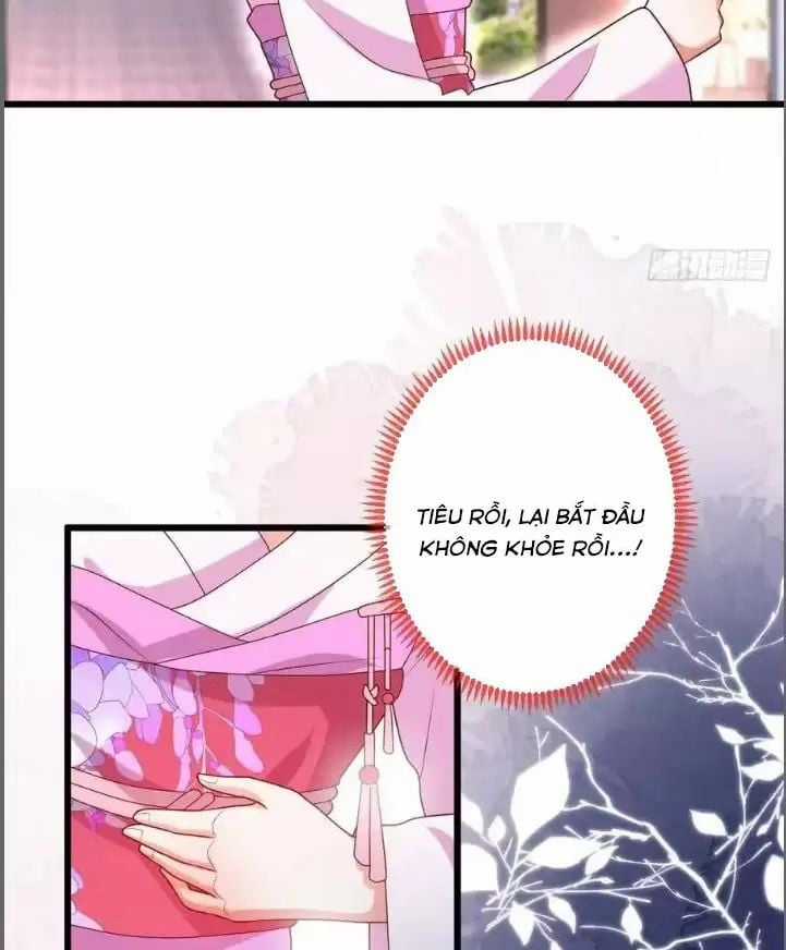 Hắc Đạo Đáng Yêu Chapter 216 trang 11