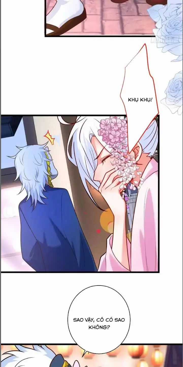 Hắc Đạo Đáng Yêu Chapter 216 trang 21