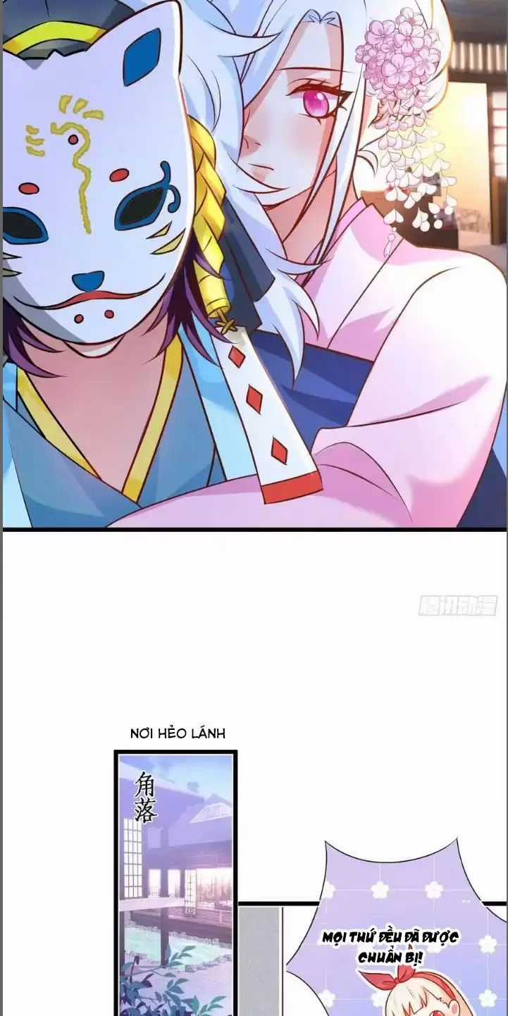 Hắc Đạo Đáng Yêu Chapter 216 trang 30