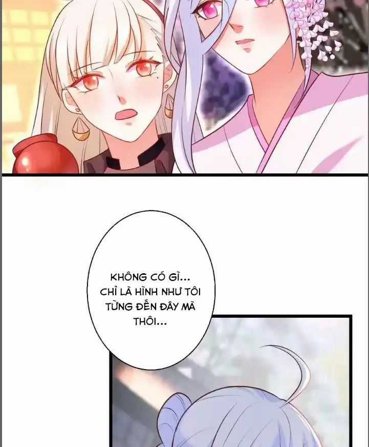 Hắc Đạo Đáng Yêu Chapter 216 trang 4