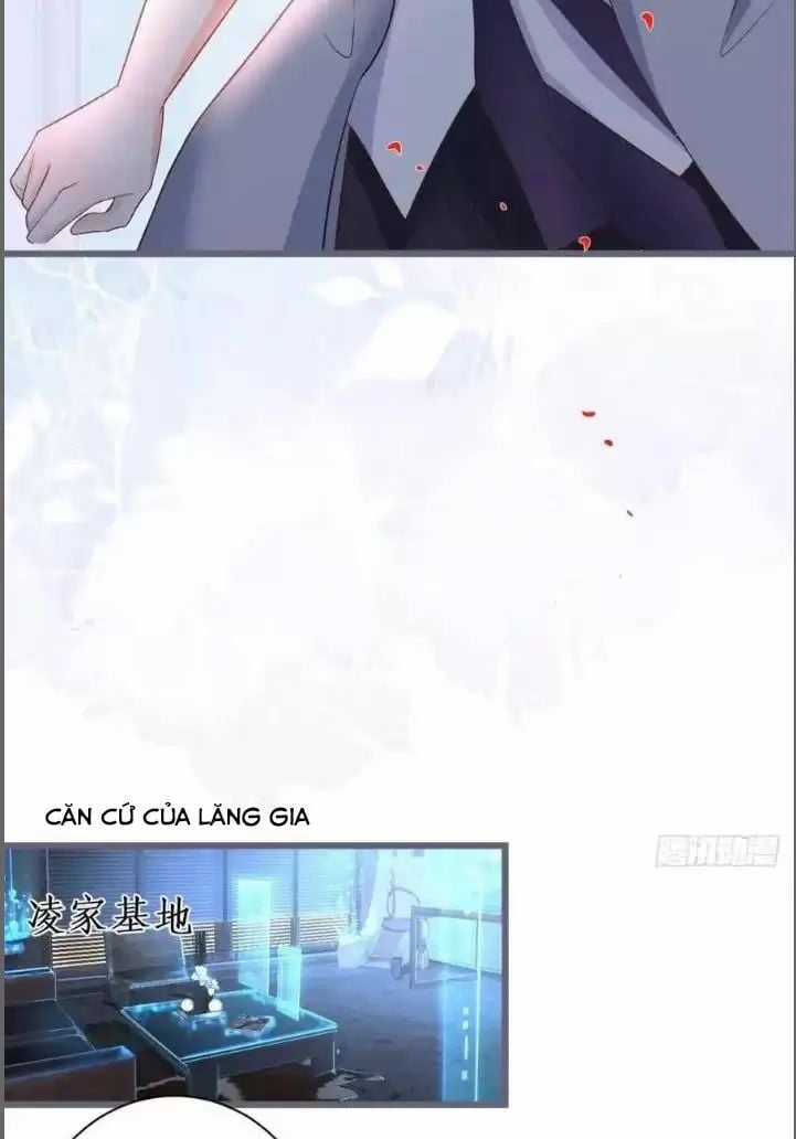 Hắc Đạo Đáng Yêu Chapter 231 trang 10