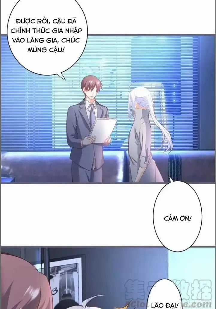 Hắc Đạo Đáng Yêu Chapter 231 trang 11