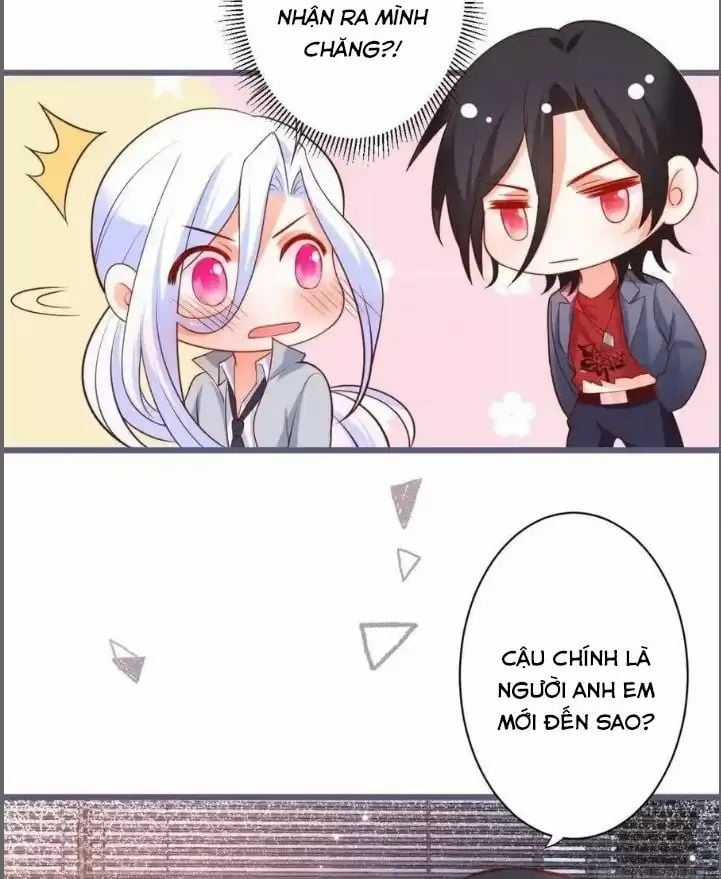 Hắc Đạo Đáng Yêu Chapter 231 trang 17