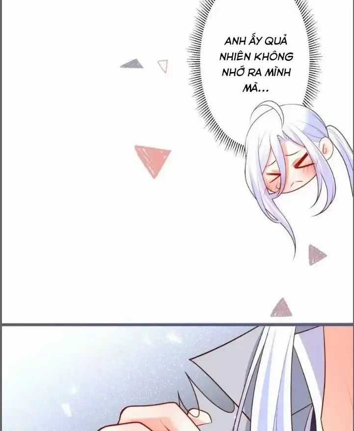 Hắc Đạo Đáng Yêu Chapter 231 trang 19