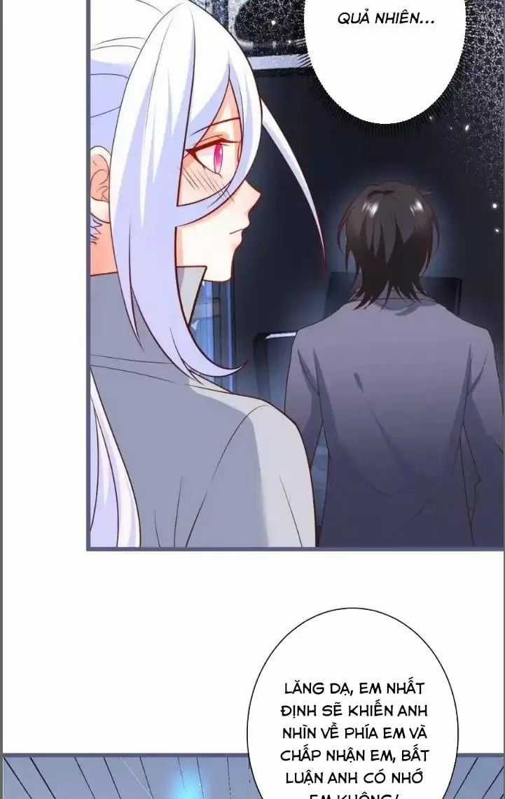 Hắc Đạo Đáng Yêu Chapter 231 trang 24