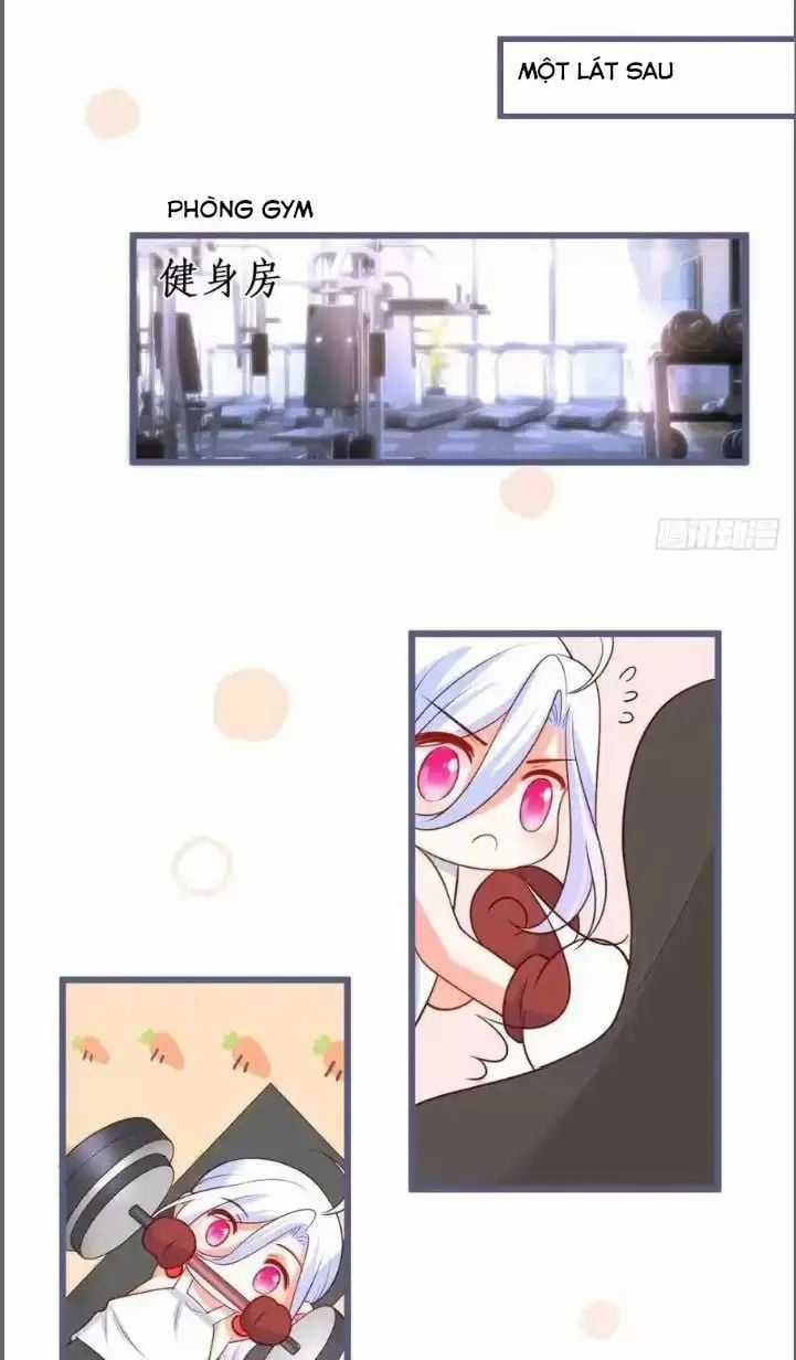 Hắc Đạo Đáng Yêu Chapter 231 trang 27