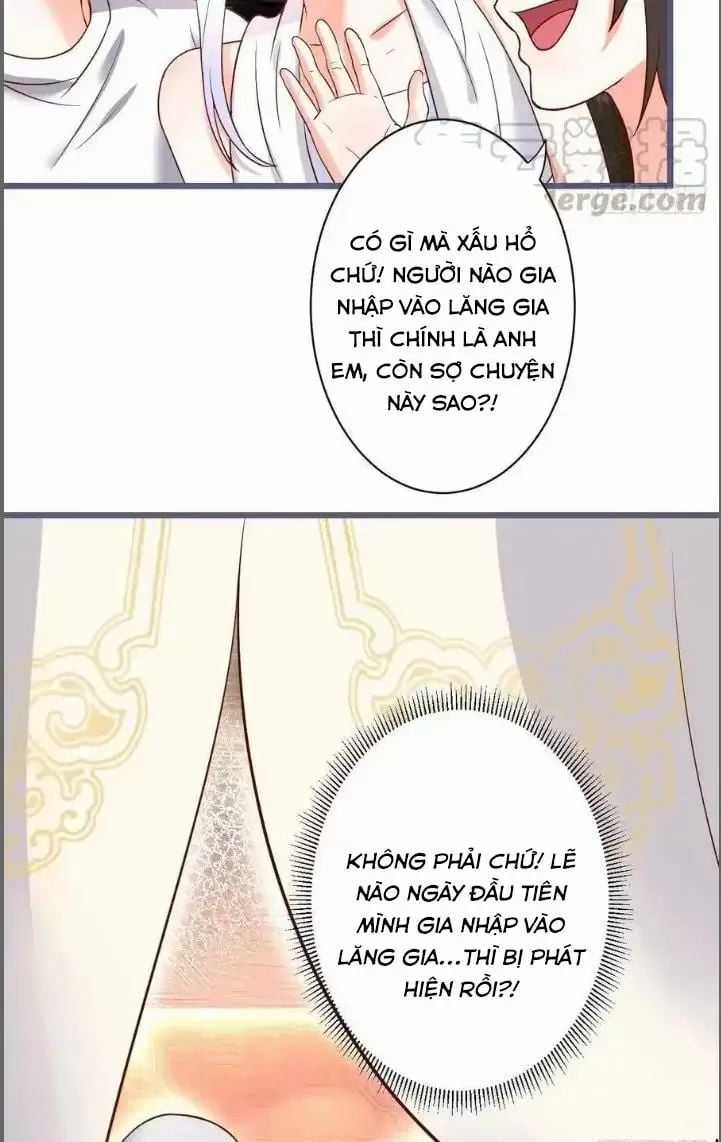 Hắc Đạo Đáng Yêu Chapter 231 trang 34