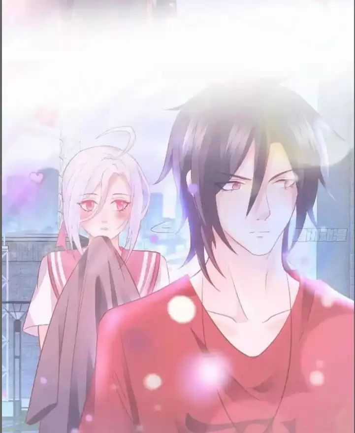 Hắc Đạo Đáng Yêu Chapter 231 trang 4