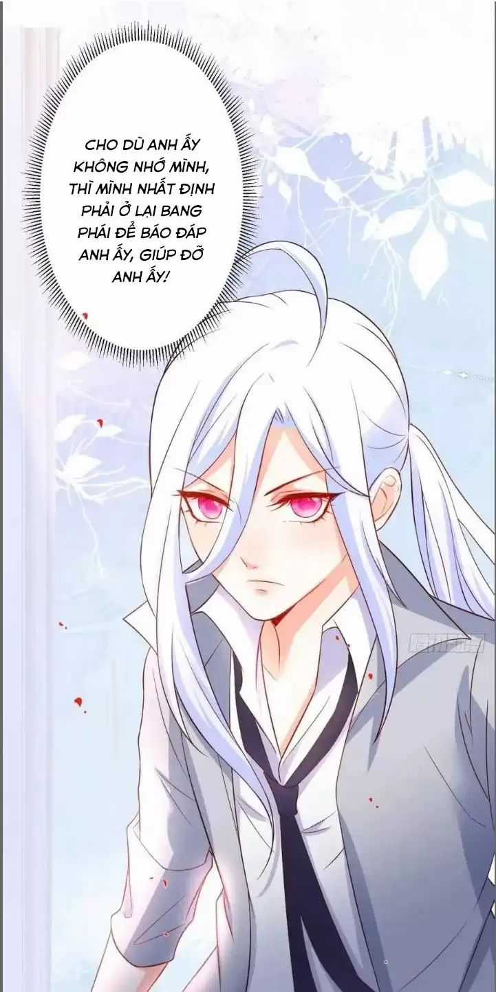 Hắc Đạo Đáng Yêu Chapter 231 trang 9