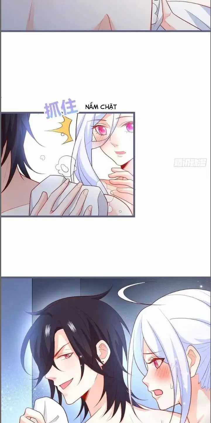 Hắc Đạo Đáng Yêu Chapter 232 trang 17