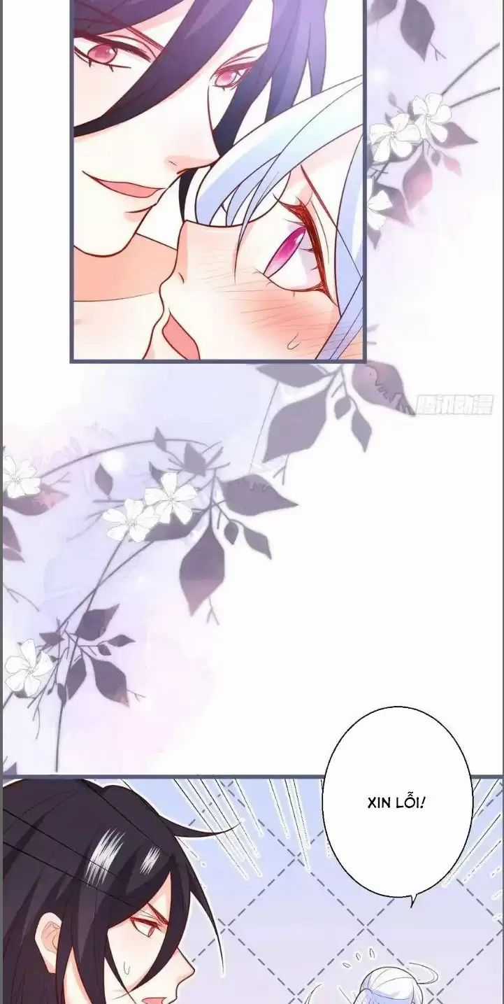 Hắc Đạo Đáng Yêu Chapter 232 trang 24