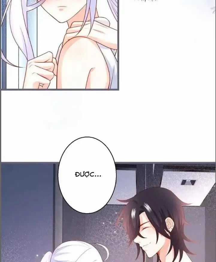 Hắc Đạo Đáng Yêu Chapter 232 trang 7