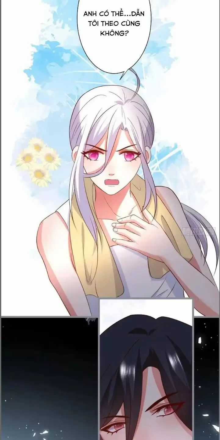 Hắc Đạo Đáng Yêu Chapter 233 trang 21