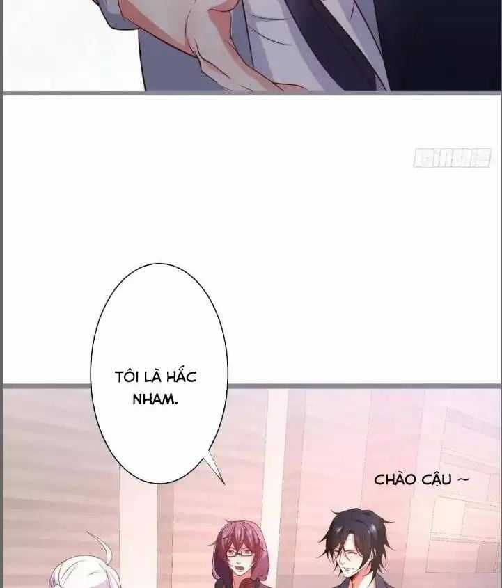 Hắc Đạo Đáng Yêu Chapter 233 trang 32