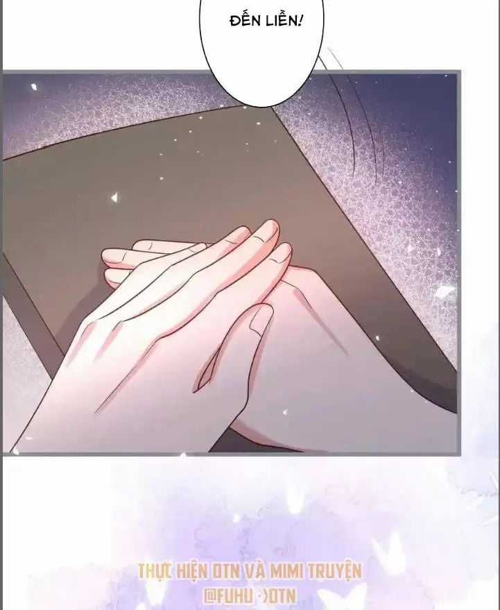 Hắc Đạo Đáng Yêu Chapter 234 trang 13